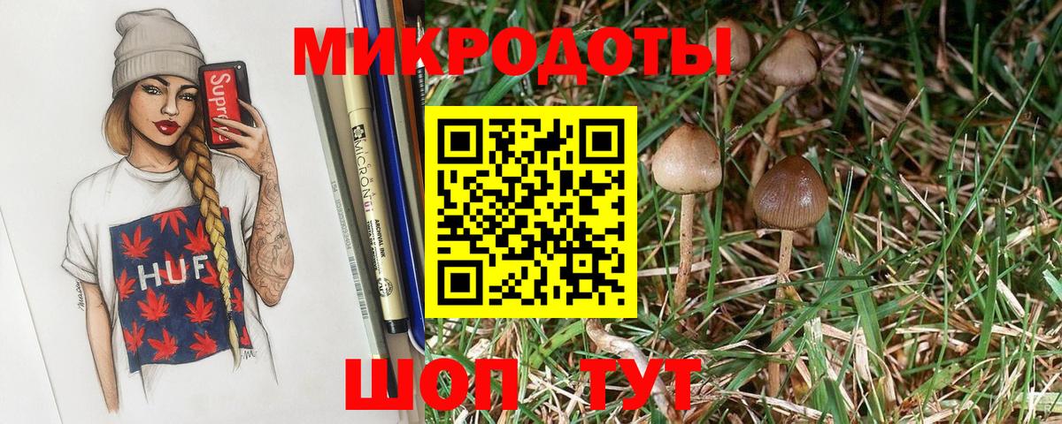 Галлюциногенные грибы Magic Shrooms Кондопога
