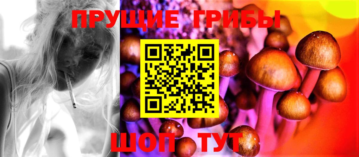 Галлюциногенные грибы GOLDEN TEACHER  Псилоцибиновые грибы прущие грибы  Кондопога  Вход с VPN 